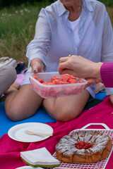 Close-up of women sharing fresh watermelon cubes and homemade cake during an outdoor picnic on a summer day. A moment of joy, connection, and healthy treats in nature.