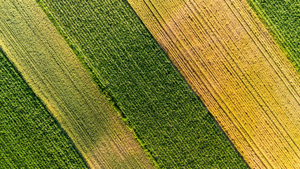 Aerial view of vibrant agricultural fields showcasing contrasting patterns of green and golden...
