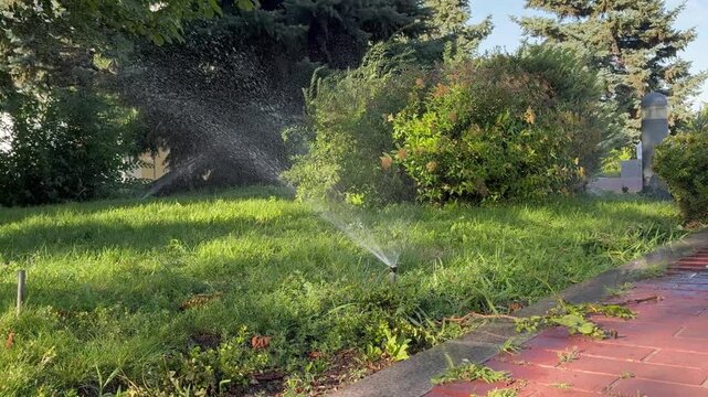Sprinkler system watering lush green lawn in residential garden, with vibrant foliage and well-maintained landscaping, showcasing the importance of irrigation for healthy plant growth and outdoor aest