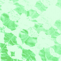 Green Geomtrical Ikat Border. Mint Ikat Weaving.