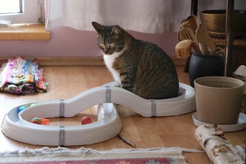 Fototapety na wymiar - Fototapeta24.pl