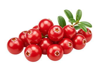 Cluster of Bright Red Cranberries with Green Leaves isolated on a transparent background