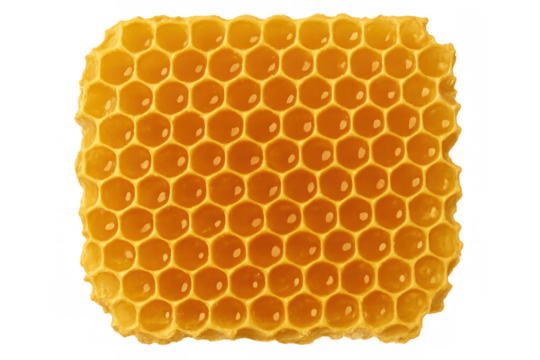 Close-up of honeycomb structure containing sweet honey, isolated on transparent background, ideal for projects related to beekeeping, natural food, and healthy eating