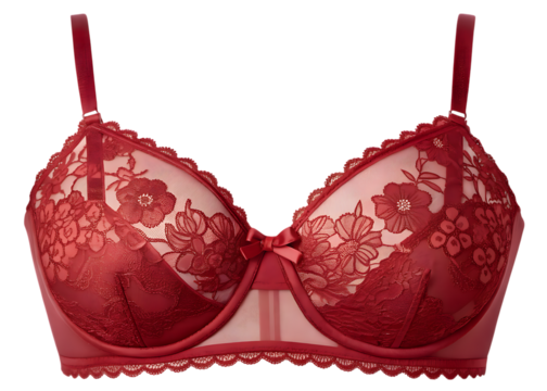 Red Floral Lace Womens Bra Lingerie Undergarment isolated on a transparent background