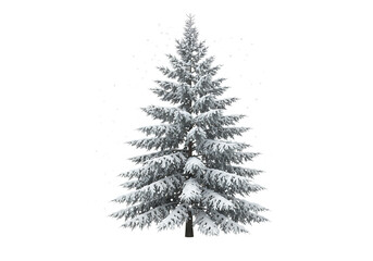 Snow Covered Majestic Spruce Tree Winter Scene isolated on a transparent background