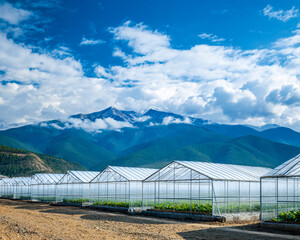 Greenhouses set against a mountain landscape with snow-capped peaks and a vibrant blue sky