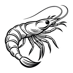 Shrimp silhouette illustration on a white background