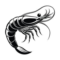 Shrimp silhouette illustration on white background