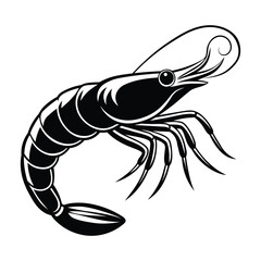 Shrimp silhouette illustration on white background