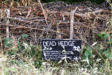 Dead Hedge: Natural Rustic Garden Barrier for Wildlife and Biodiversity

