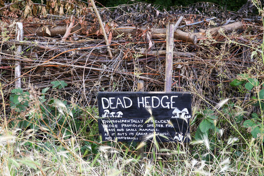 Dead Hedge: Natural Rustic Garden Barrier for Wildlife and Biodiversity

