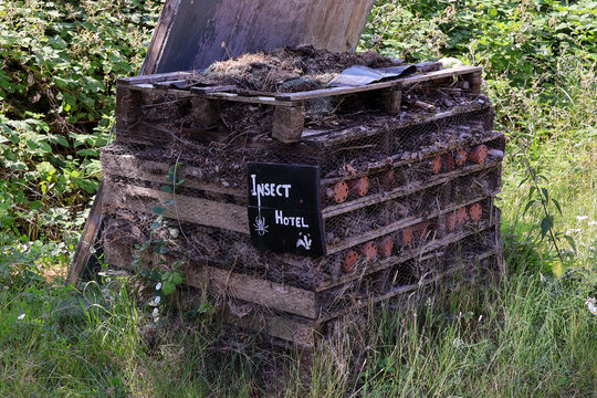 Bug Hotel: Natural Wooden Shelter for Beneficial Garden Insects
