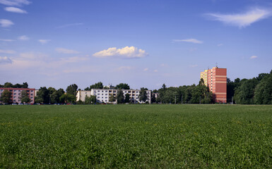 Meadow outside the city. Houses on the outskirts of the city. Meadow bordered by forest and houses from urban development. Nature in the city. Meadow bordered by houses and forest.