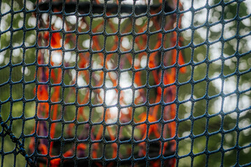 A detailed view of a blue net with a soft-focus background showing blurred orange lights or fabric and green bokeh from trees.