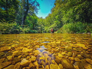 river in the forest