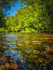 river in the forest