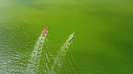 Aerial view of a rowing boat competition, one of which erroneously changes its trajectory.