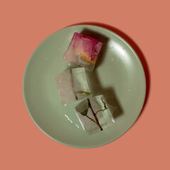 Creative arrangement of pink flower in ice cubes on the plate. Sunny day concept. Copy space