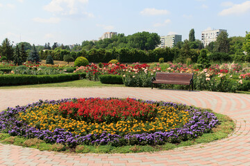 Vibrant flower garden with a circular flowerbed in a public park on a sunny day