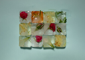 Creative arrangement of colorful flowers in ice cubes on blue background. Sunny day concept.