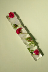 Creative arrangement of red flowers in a row in ice cubes on a pastel green background. Sunny day...