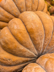 Close-Up of Large Pumpkins Showcasing Texture Details