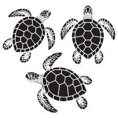 Three sea turtles are isolated on white background