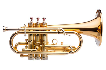 Obraz premium Golden Cornet Musical Instrument Close Up on Transparent Background