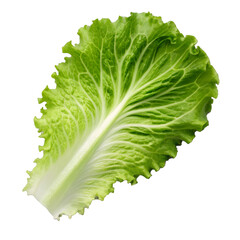 Fresh green lettuce leaf perfectly isolated on transparent background for salad and healthy food
