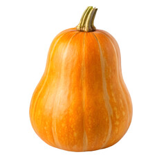 Whole butternut squash isolated on transparent background ideal for food, fall, and cooking themes
