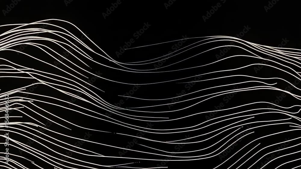 Poster abstract white lines on transparent background forming wavy patterns