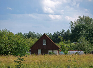 Rural Landscape: Traditional Country Home Surrounded by Wild Meadow and Lush Trees.
