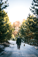 A person and their dog walk together down a snowy path in a tranquil winter forest setting. Vilnius, Lithuania