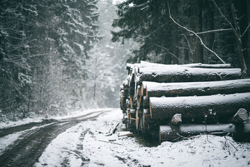 A snowy forest road guides through a serene winter woodland, with a pile of cut logs visible, Vilnius, Lithuania.