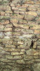 Ancient wall stone masonry in fence around the house, large and small stones. Vertical photo.