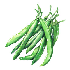 . Green beans watercolor illustration isolated on transpar subject