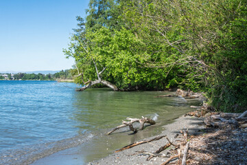 Rivage paisible de la plage de Boiron au bord du Léman