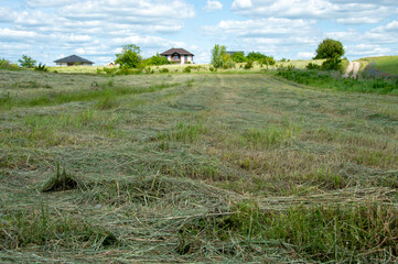 A haymaker has flattened stalks of grass in a large field, revealing cleared sections of land while...