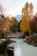 Autumn in the park of Whistler, BC, Canada.  