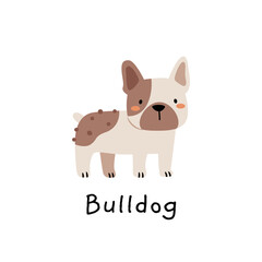 Adorable bulldog illustration in minimal scandinavian style. Perfect for nursery prints, pet-themed decor, children's books, and dog lover designs.