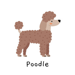 Cute brown poodle illustration in Scandinavian style. Ideal for nursery prints, kids’ wall art, baby decor, or educational posters about dog breeds.