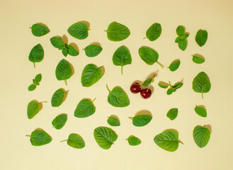 Creative arrangement of mint leaves and fruit of cherries on a beige background. Flat lay