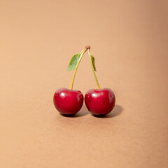 A pair of fresh juicy cherries close-up on a brown background