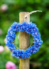 Beautiful wreath of fresh deep blue cornflowers hanging on the old wood fence post. (Centaurea cyanus) Handmade handicraft with flowers. Selective focus.