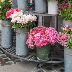 Beautiful Roses and Hydrangeas in Galvanized Buckets.