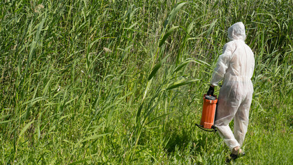 A man in a protective suit processes reeds using a poison sprayer. Weed killer. Destruction of grass, weed control.