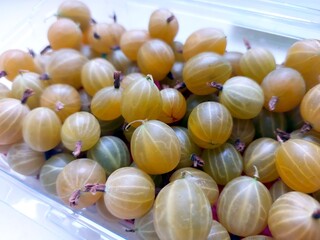 Fresh Gooseberry Berries Displayed in a Clear Container at a Local Market in Summer