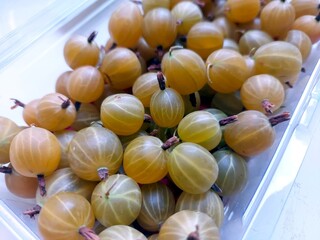 Fresh Gooseberry Berries Harvested in Summer Ready for Tasting or Processing in a Clear Container
