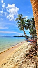 Coconut trees and white beaches