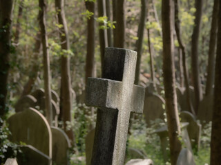 Weathered Stone Cross in a Serene Cemetery